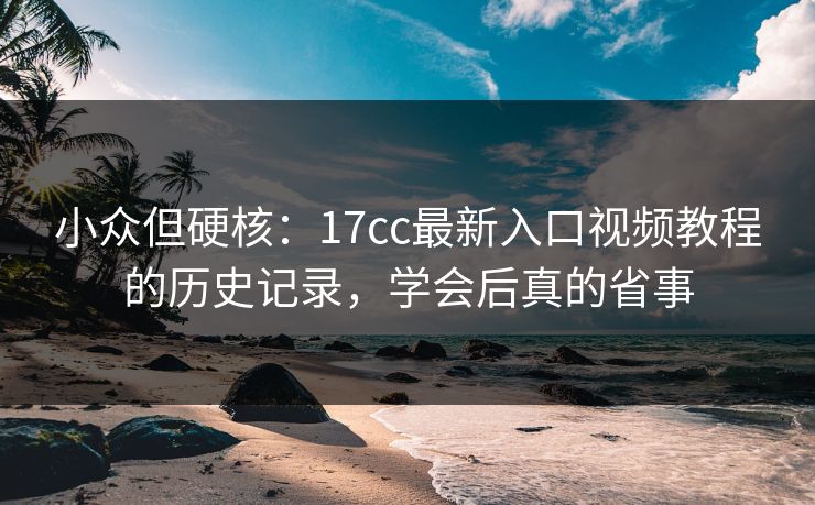 小众但硬核：17cc最新入口视频教程的历史记录，学会后真的省事