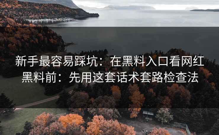 新手最容易踩坑：在黑料入口看网红黑料前：先用这套话术套路检查法